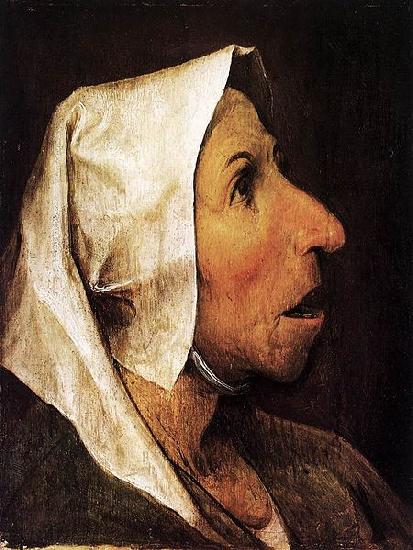 Pieter Bruegel the Elder Portrait of an Old Woman Germany oil painting art